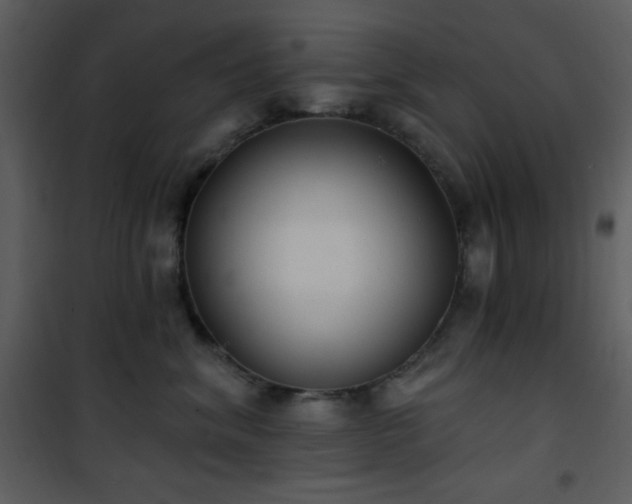 X0000102000620200807181206