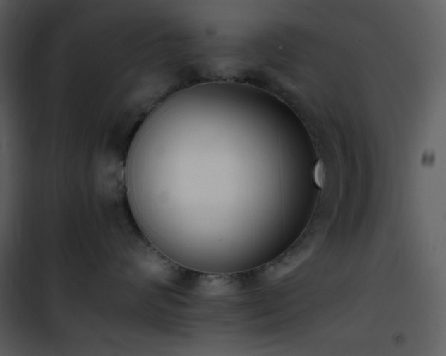 X0000102000624200807181206