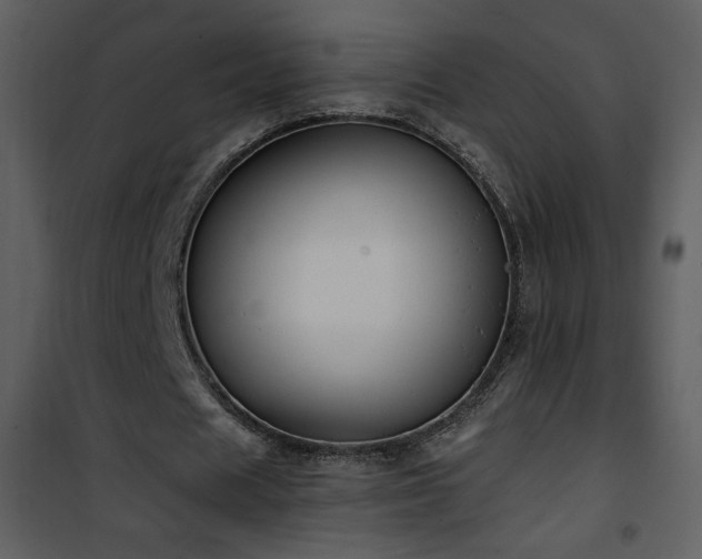 X0000102000625200807181205