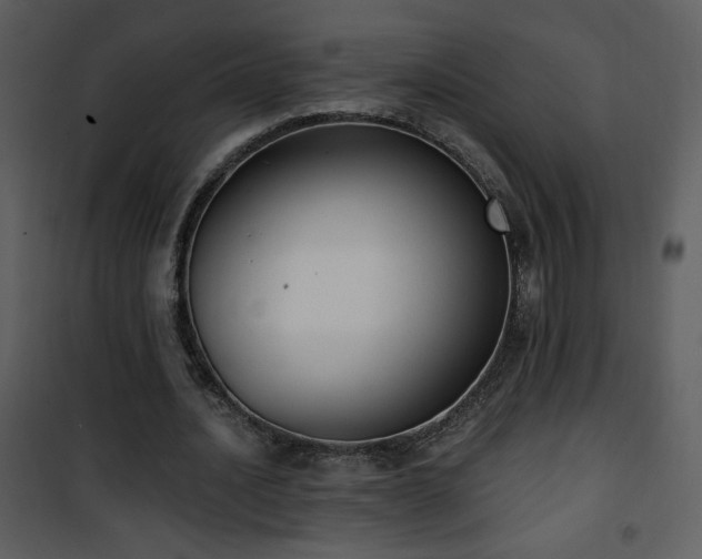 X0000102000628200807181205