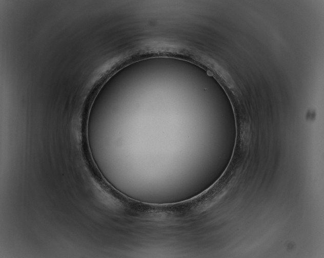 X0000102000629200807181205