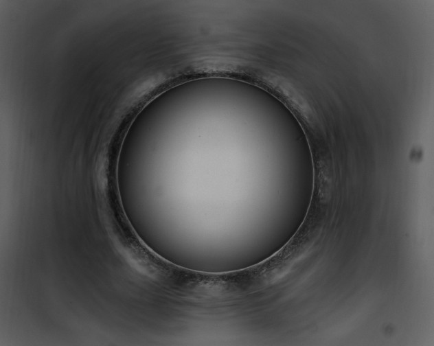 X0000102000631200807181206