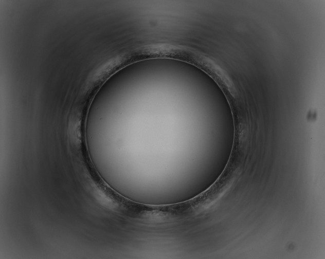 X0000102000633200807181206