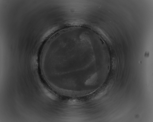 X0000102000634200807181206