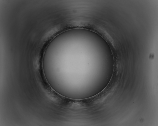 X0000102000635200807181206