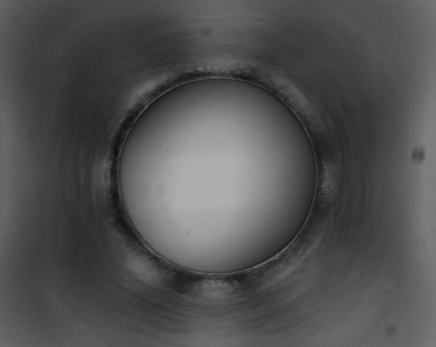 X0000102000636200807181206