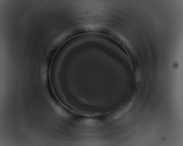 X0000102000637200807181206