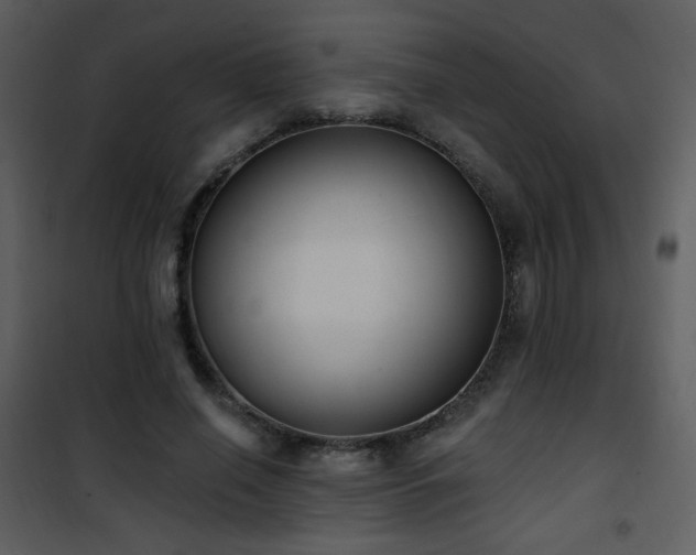 X0000102000638200807181206