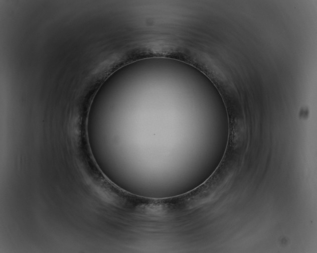 X0000102000639200807181206