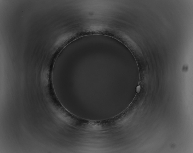 X0000102000640200807181206