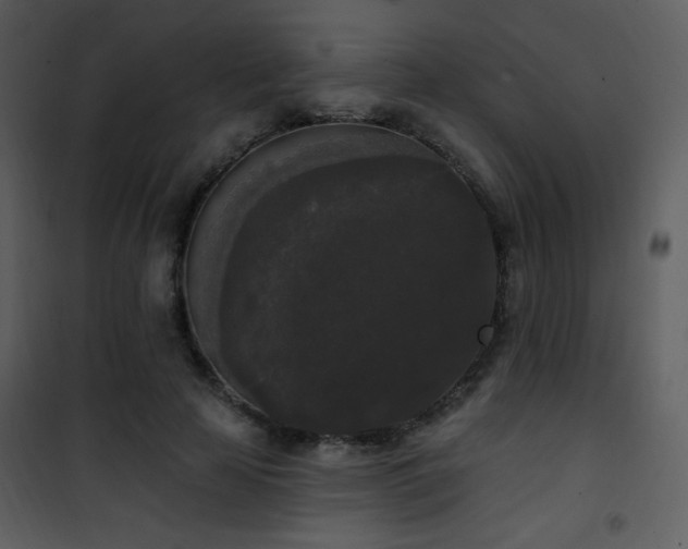 X0000102000641200807181206