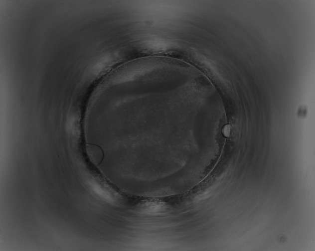 X0000102000642200807181206