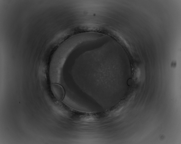 X0000102000643200807181206