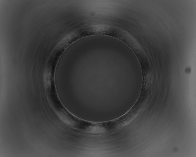 X0000102000644200807181206