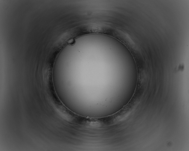 X0000102000645200807181206