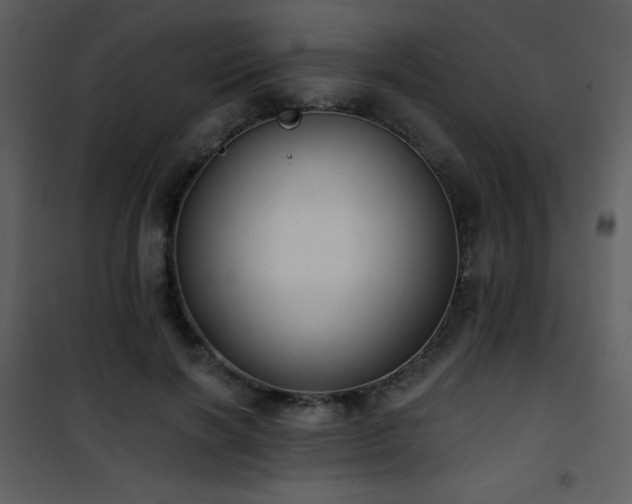 X0000102000646200807181206