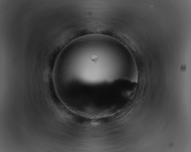 X0000102000647200807181206