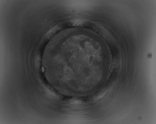 X0000102000648200807181206