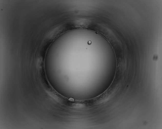 X0000102000649200807181206