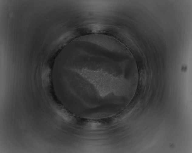 X0000102000650200807181206