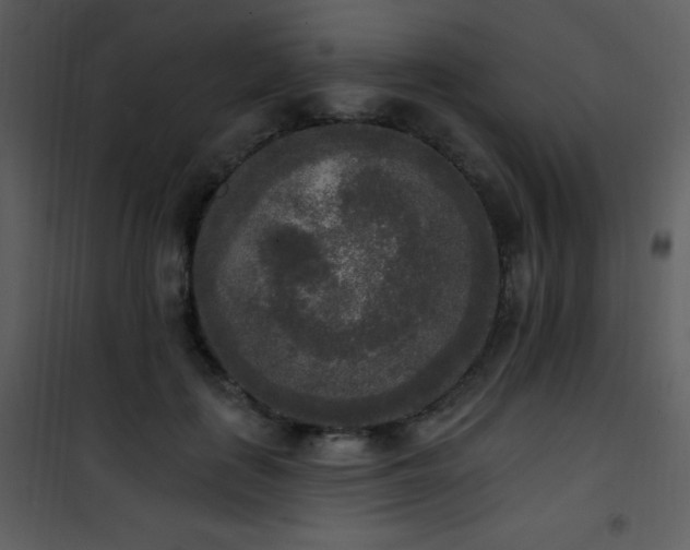 X0000102000651200807181206