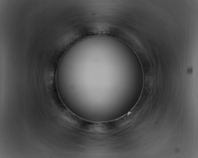 X0000102000652200807181206