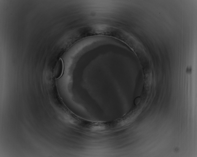 X0000102000653200807181206