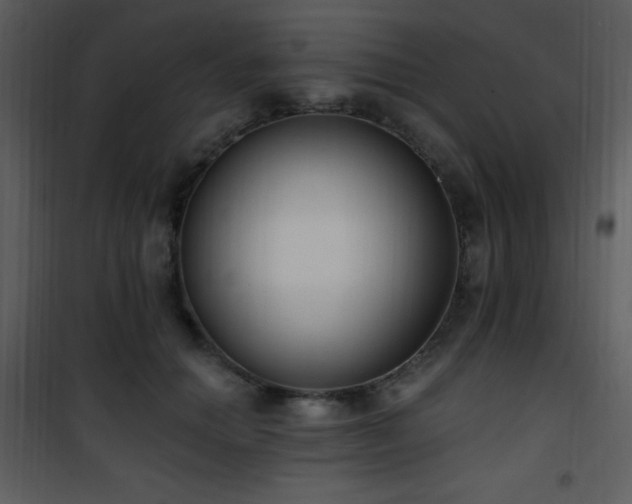 X0000102000654200807181206