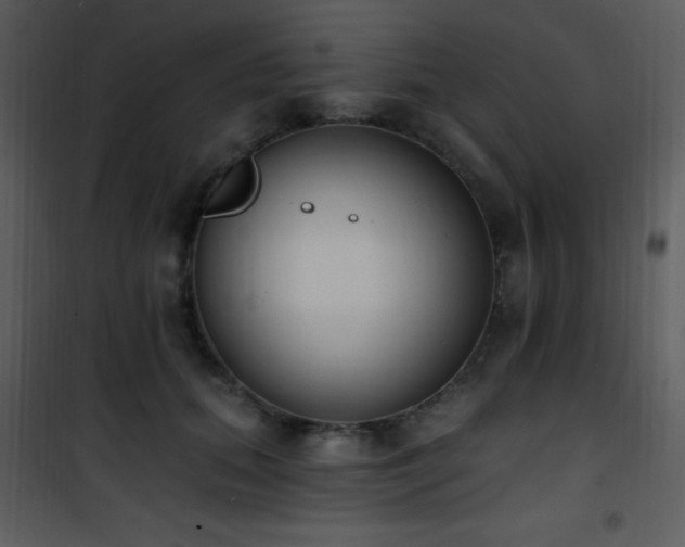 X0000102000655200807181206