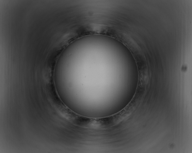 X0000102000656200807181206