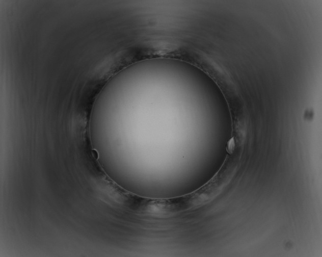 X0000102000657200807181206