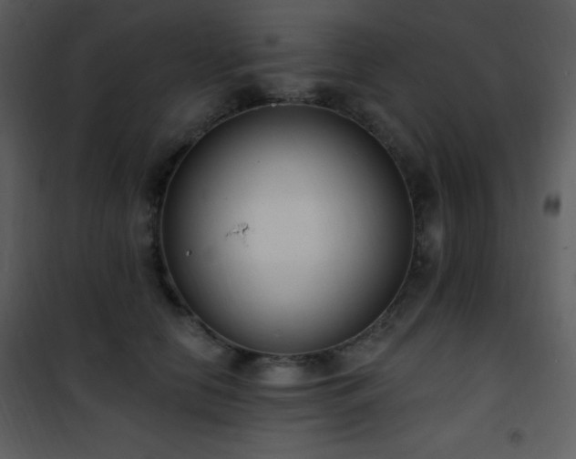 X0000102000658200807181206