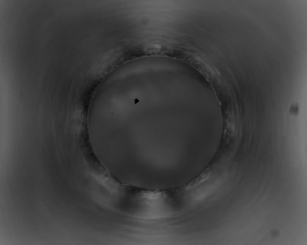 X0000102000659200807181206