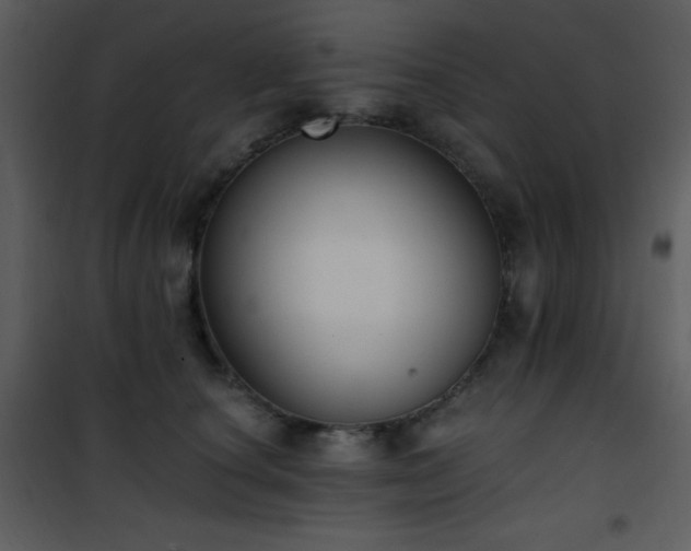 X0000102000660200807181206