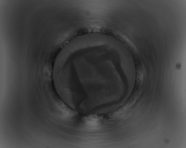 X0000102000661200807181206