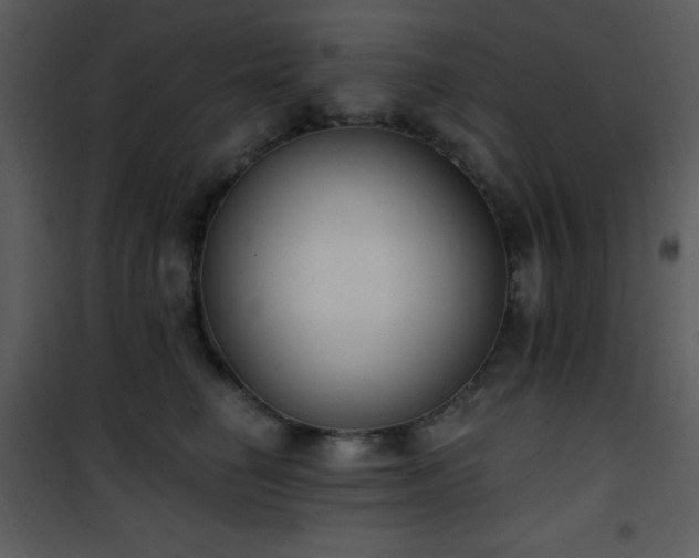 X0000102000662200807181206