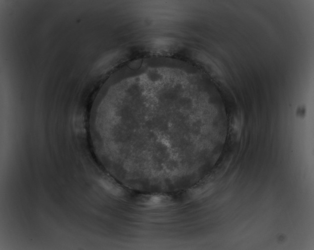 X0000102000663200807181206