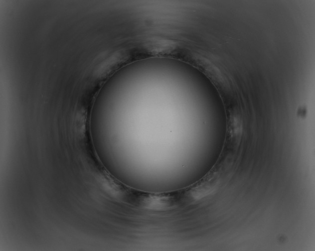 X0000102000664200807181206