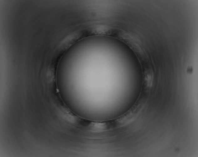 X0000102000665200807181206