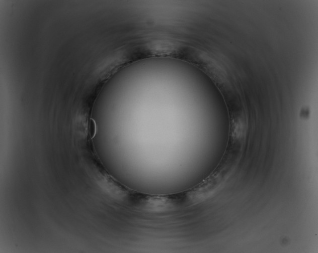 X0000102000666200807181206