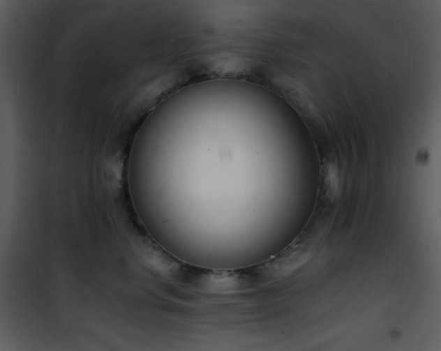 X0000102000668200807181206