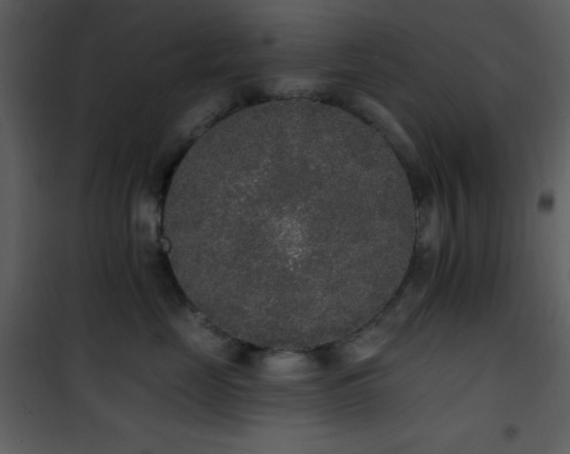 X0000102000669200807181206