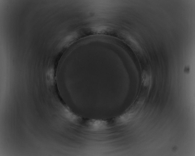 X0000102000670200807181206