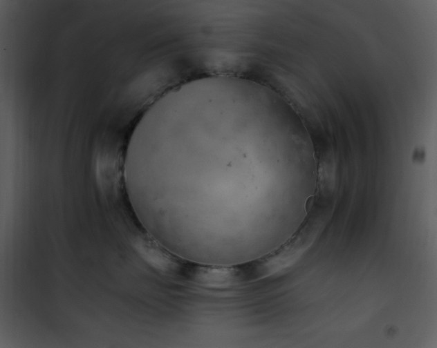 X0000102000671200807181206