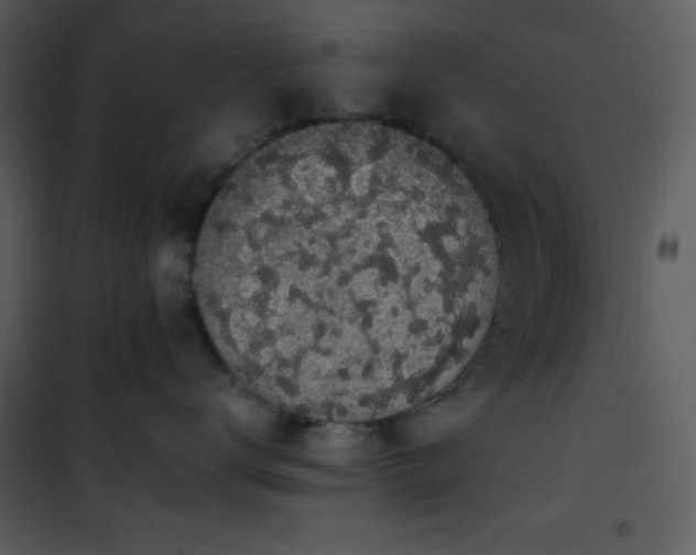 X0000102000672200807181206