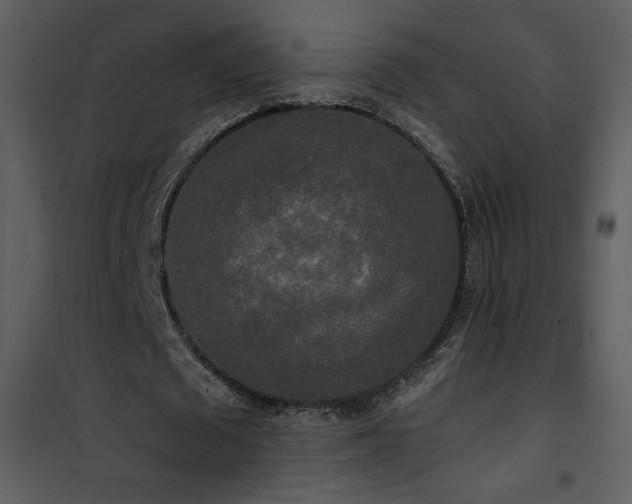 X0000102000673200807181205