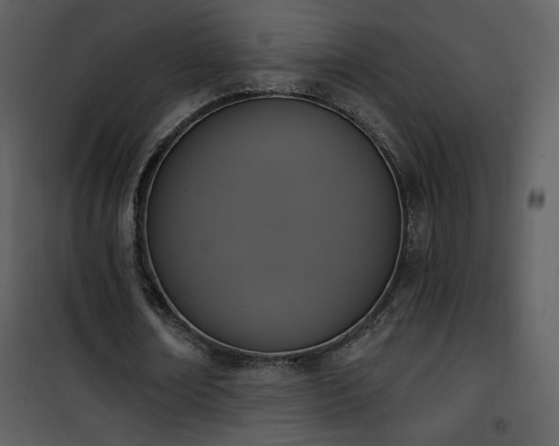 X0000102000674200807181205