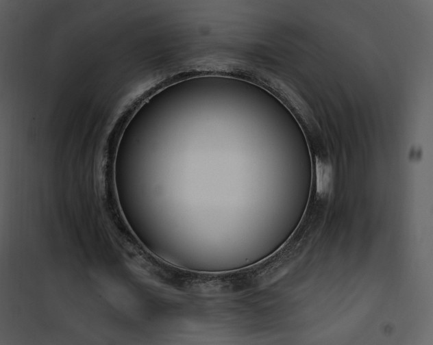 X0000102000675200807181205