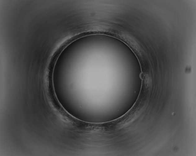 X0000102000676200807181205