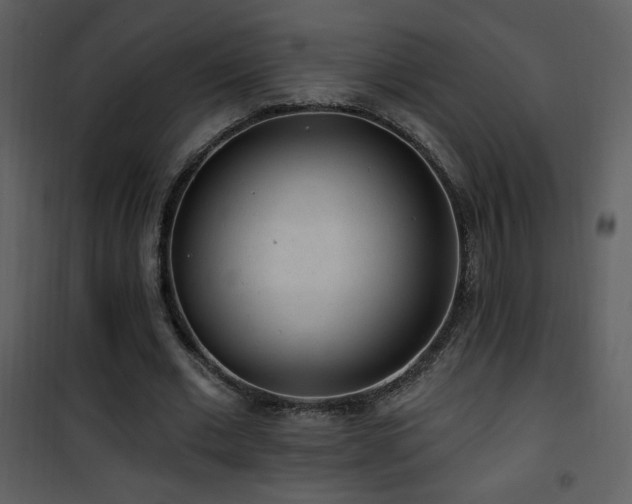 X0000102000677200807181205